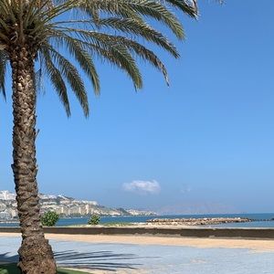 Meet your Posher, Carlos